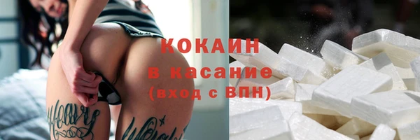 амф Арсеньев