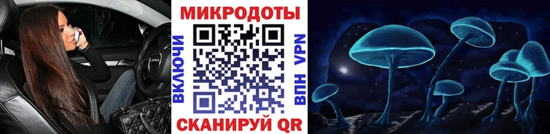 Псилоцибиновые грибы Psilocybe  darknet как зайти  Пенза 